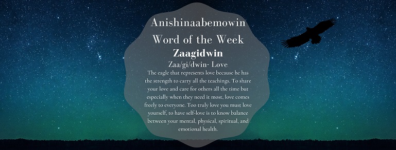 Anishinaabemowin Word of the Week Zaagidwin