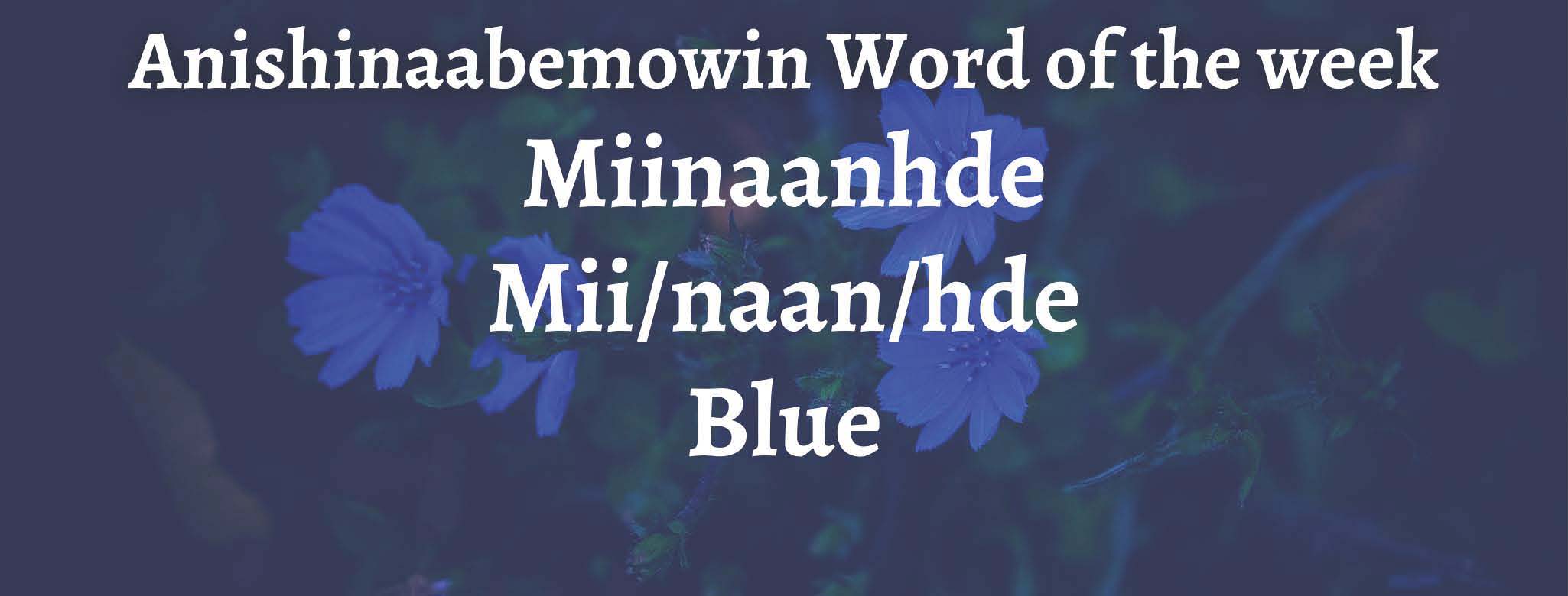 Anishinaabemowin Word of the week Miinaanhde Blue