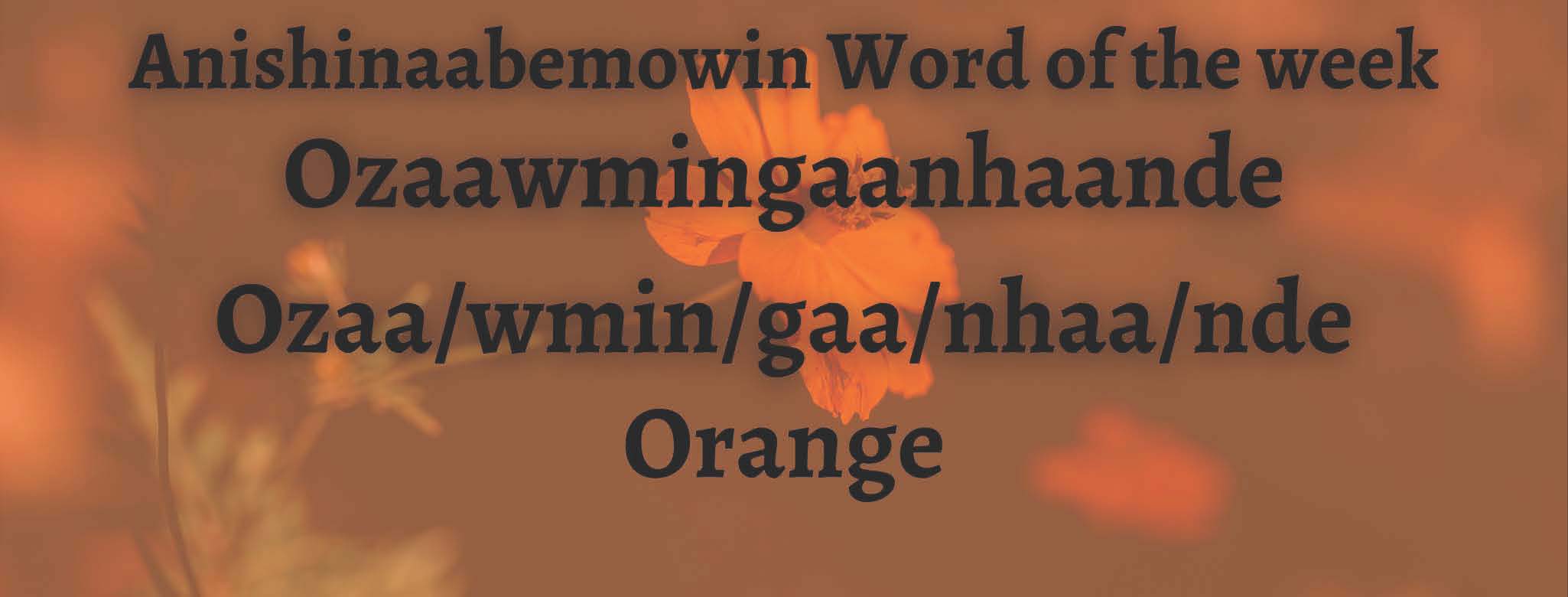 Anishinaabemowin Word of the week Ozaawmingaanhaande Orange