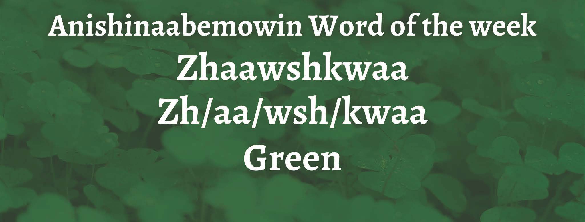 Anishinaabemowin Word of the week Zhaawshkwaa Green