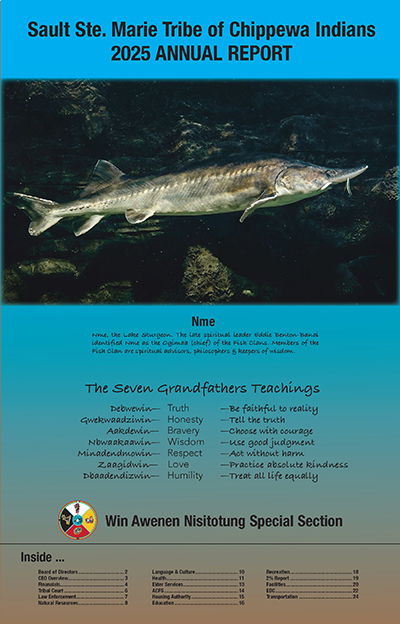 annual report front page
